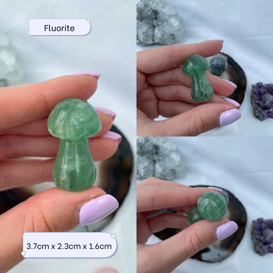 Moss agate + Fluorite Crystal Mushrooms