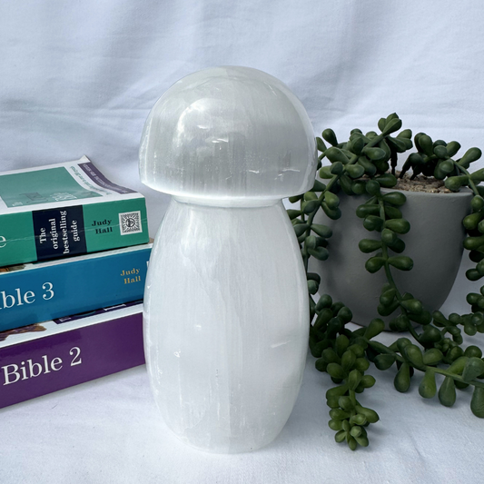 Selenite Mushroom Lamp