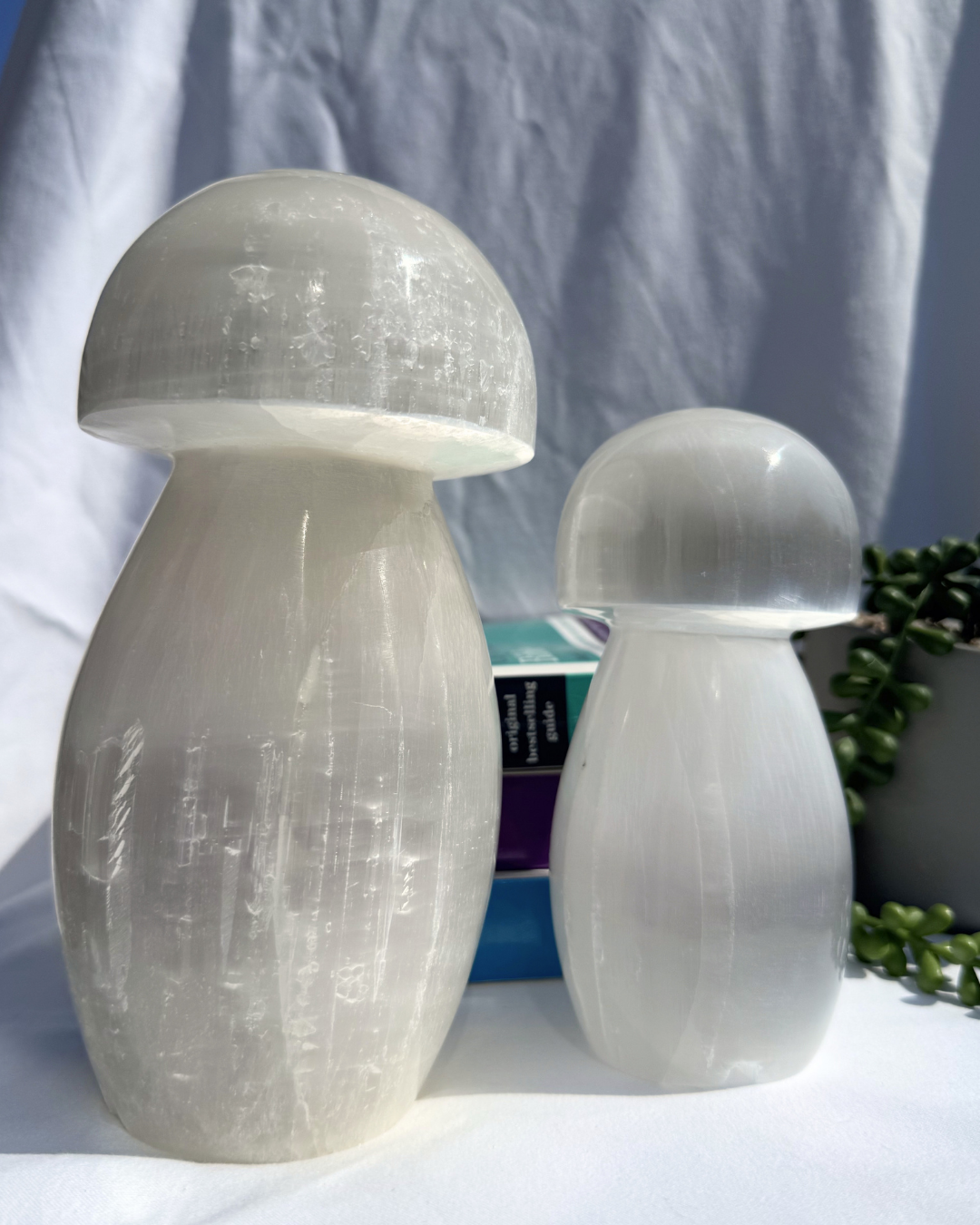 Selenite Mushroom Lamps