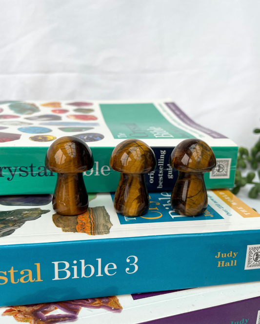 Tigers Eye Mushrooms