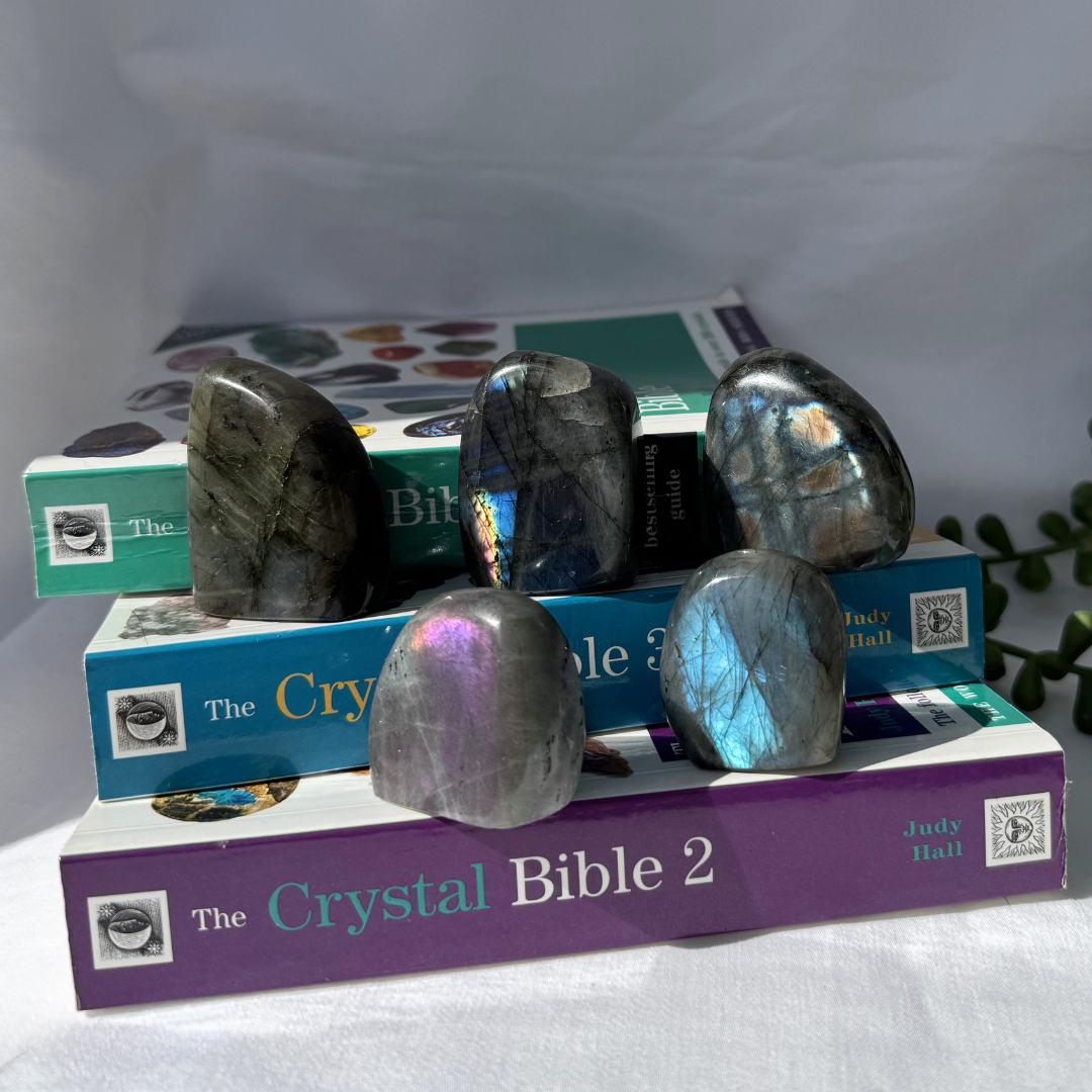 Small Labradorite Freeforms