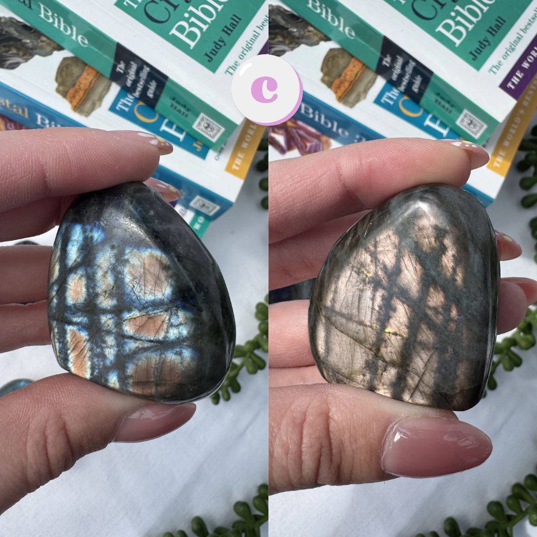 Small Labradorite Freeforms