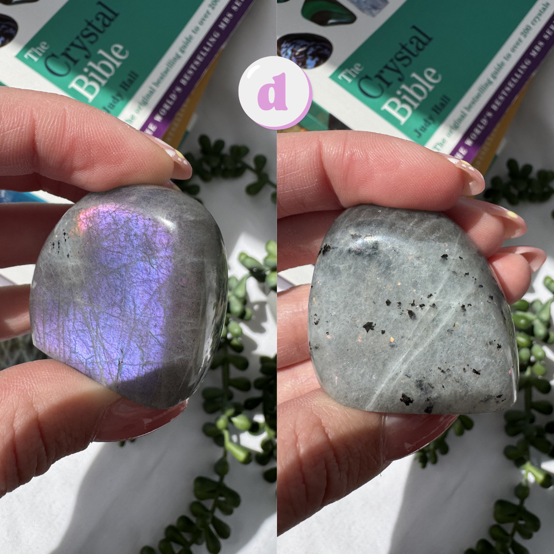 Small Labradorite Freeforms