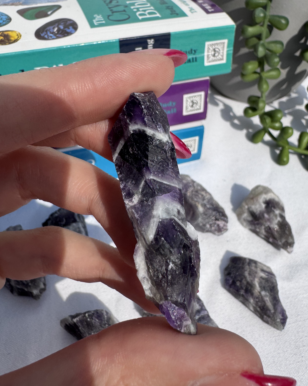 Small Banded Amethyst Roots