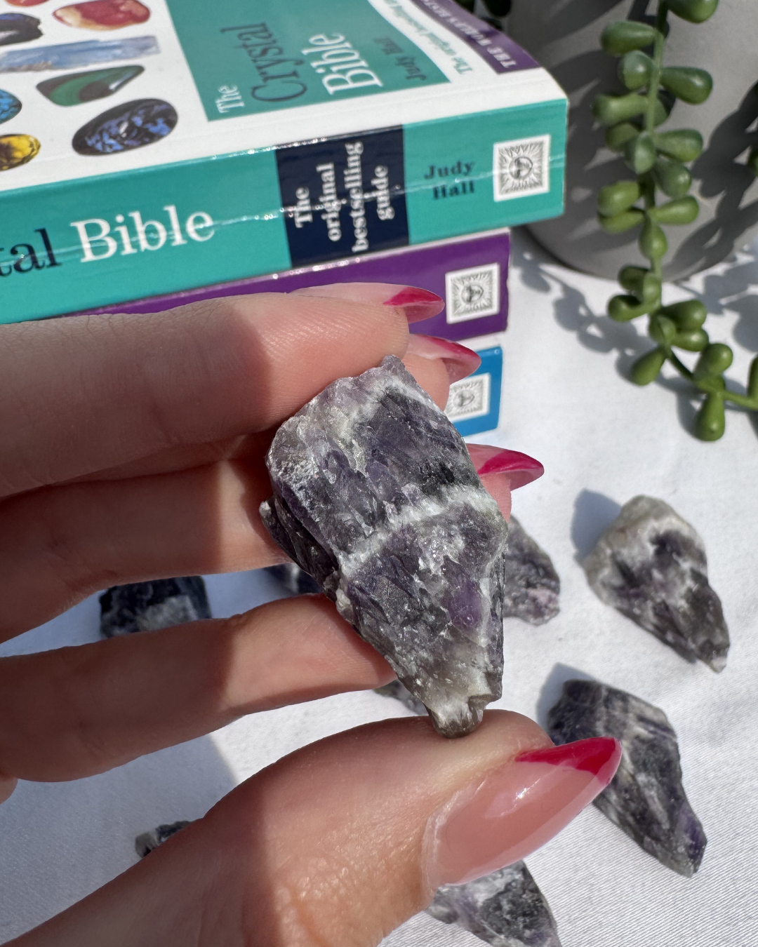 Small Banded Amethyst Roots